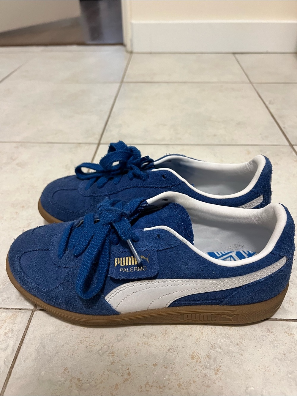 Puma Palermo Suede Sneakers - Blue